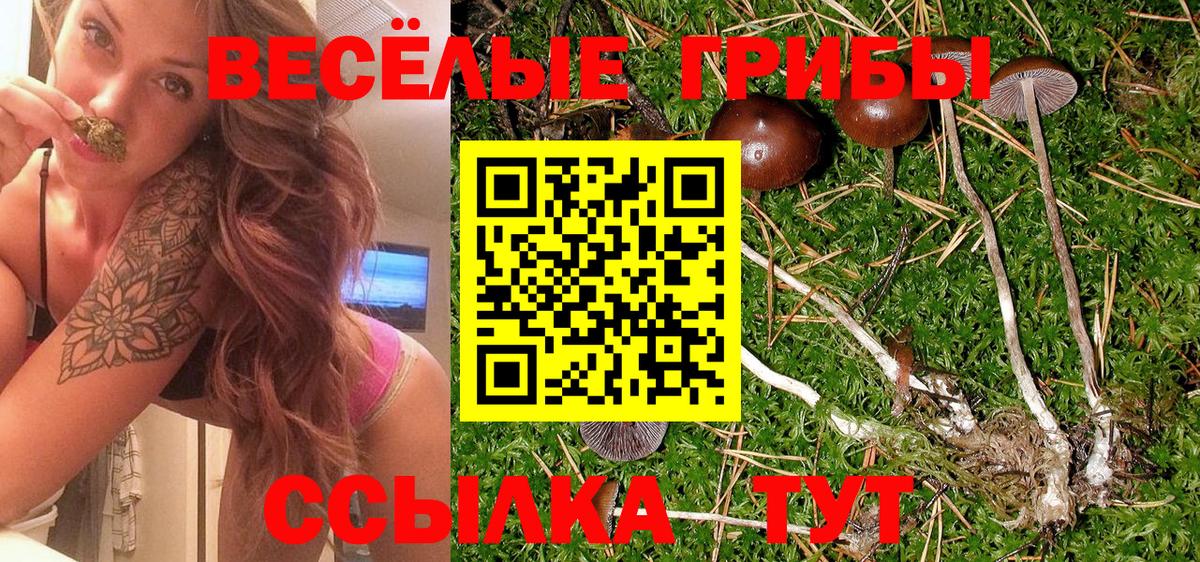 Александров  Псилоцибиновые грибы ЛСД  Вход с VPN  Псилоцибиновые грибы мицелий 
