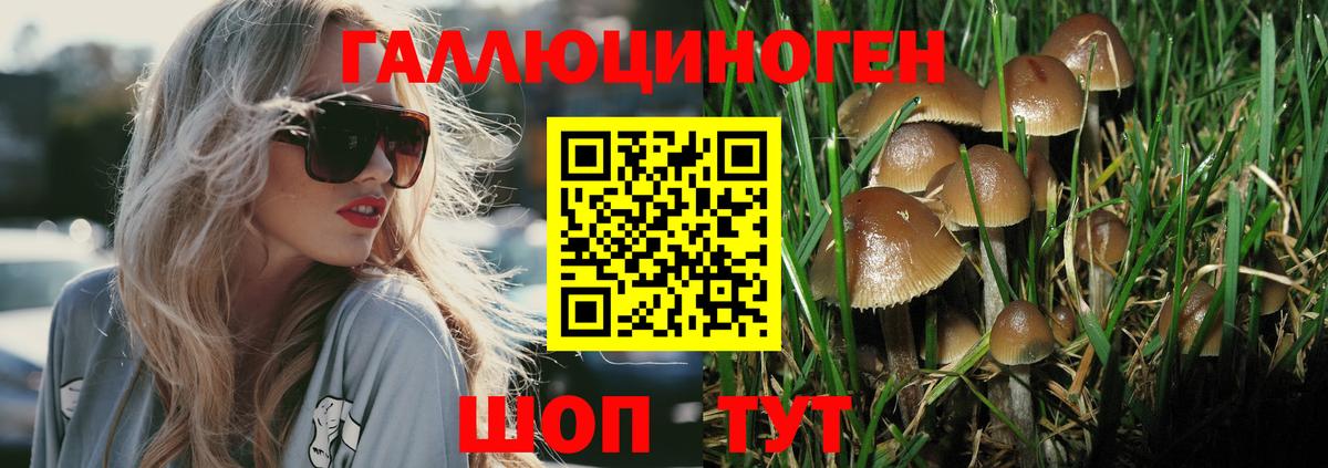 Галлюциногенные грибы Psilocybine cubensis Александров